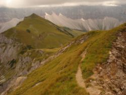 2013-09-08_6Falkenh-Steinfalk (202)10.JPG